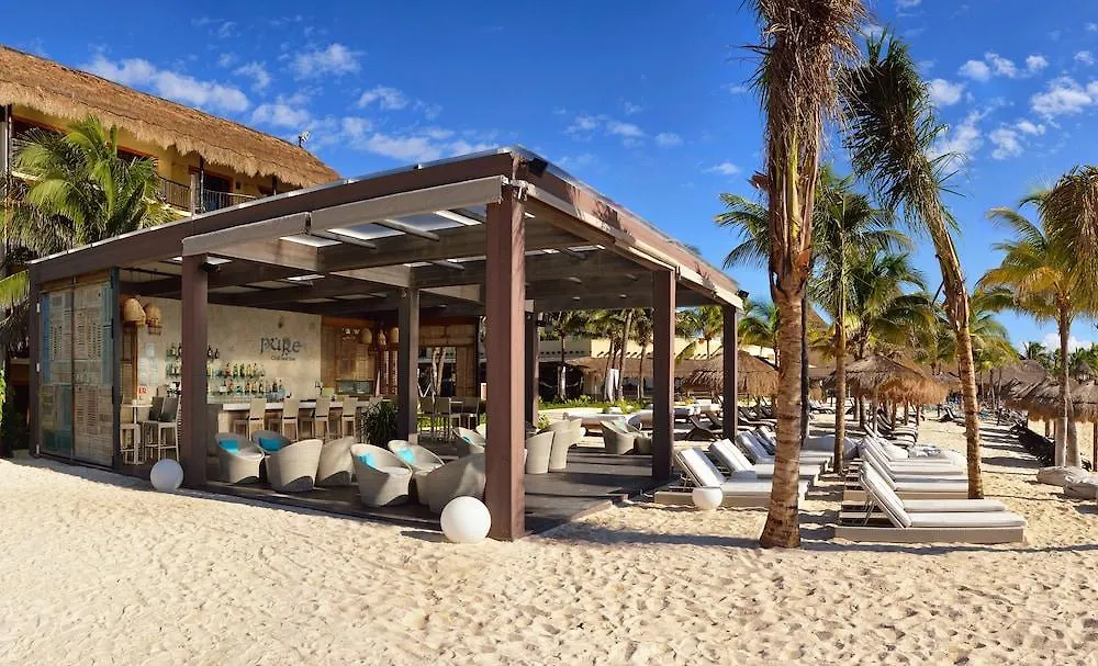 Catalonia Yucatan Beach Resort & Spa 푸에르토 아벤투라스